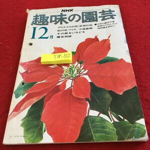 Y38-322 NHK хобби. садоводство 12 месяц номер Showa 49 год выпуск Рождество. цветок * Новый год. цветок мой цветок ... shohin bonsai зимний двор ..... садоводство работа и т.п. 