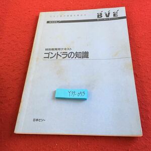 Y39-053 特別教育用テキスト ゴンドラの知識 ビルと街の価値を高める BVE 日本ビソー 1991年発行 知識 取り扱い上の知識 操作に必要な電気