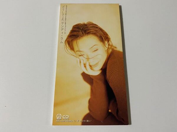 良品 サンディ・ラム どうしてよ 8cm CD シングル 林憶蓮 Sandy Lam 3inch Single 3'' 短冊 国内盤 日本盤 PIDL-1102 即決 送料無料