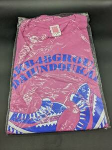 AKB48 第2回 チーム対抗大運動会 Tシャツ ピンク XLサイズ