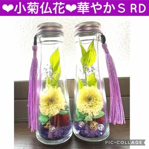 【小菊＆千日紅仏花】〜お供え物ハーバリウム〜華やか2本セットS RD