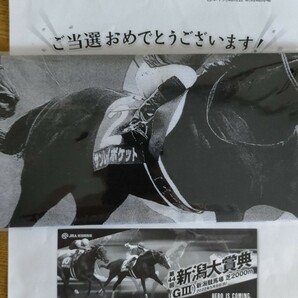 JRA　新潟競馬場　キャンペーン　当選品　非売品　新潟大賞典　サンレイポケット　手ぬぐい　