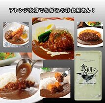 日本食研 業務用ベースカレー　1Kg × 5パック！_画像6