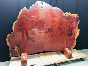 NJ193[ chinese quince ]... kelp . extra-large most width 170cm rare wooden karaki chinese quince purity wheel cut one sheets board thickness approximately 4cm sphere .... partitioning screen table for zelkova purity pcs 