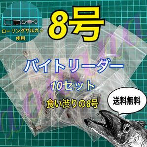 タチウオテンヤ バイトリーダー10セット 8号 太刀魚