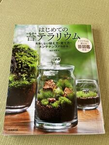  succulent plant used book@ start .. moss terrarium 