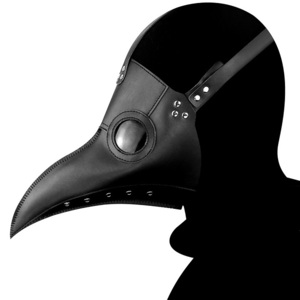 pe -stroke mask bird mask mask cosplay Halloween fancy dress ( black ) gothic steam punk 