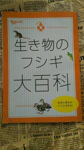 [ Challenge 5 year raw living thing. fsigi large various subjects life . evolution. nazo....!] used living thing. various . mystery . together ...!