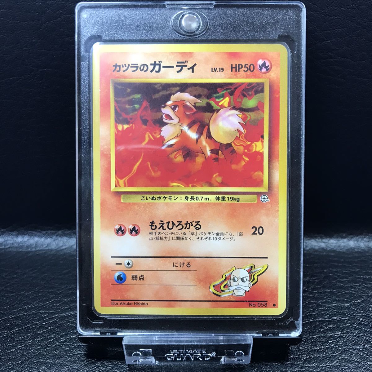 ヤフオク! -「ポケモンカード 旧 カツラ」の落札相場・落札価格
