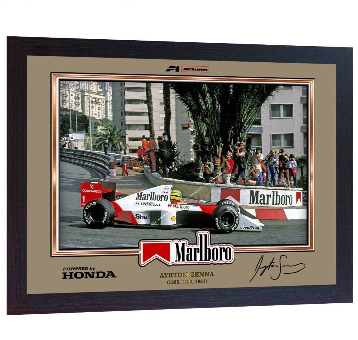 ヤフオク! -アイルトンセナ サインの中古品・新品・未使用品一覧