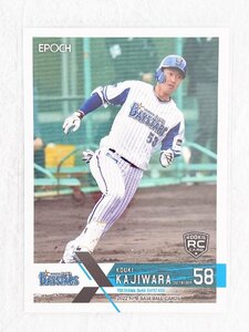 ☆ EPOCH 2022 NPB プロ野球カード 横浜DeNAベイスターズ レギュラーカード 216 梶原昂希 ルーキーカード ☆