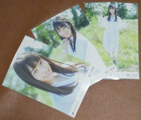 乃木坂46 阪口珠美 日常 アンダーver. 会場限定 生写真 3種 コンプ