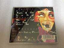 PRODIGY ALWAYS OUTNUMBERED NEVER OUTGUNNED/ dj muro kiyo missie kensei watarai seiji gangstarr jaydee madlib peterock alchemist_画像2