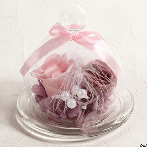 Цветочный консервированный цветочный стеклянный горшок Glass Clear Pink лента подарок подарок подарки элегантный модный