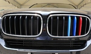 スポーティ♪ BMW Mカラー グリルフィン X6 F16 xDrive 35i xDrive 50i Mスポーツ X6シリーズ
