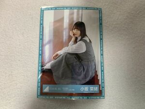 日向坂46 「声の足跡」MVロケーション衣装 生写真 小坂菜緒 座り