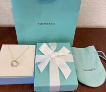 新品 正規品 ティファニー tiffany&co ネックレス オープンハート シルバー ケース巾着紙袋リボンラッピング付き プレゼント　ハート_画像1