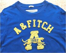 Abercrombie＆Fitch アバクロ★アップリケロゴ・Tシャツ・ブルー×イエロー・メンズMサイズ★美品★送料無料_画像4