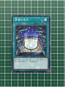 ★遊戯王 OCG WORLD PREMIERE PACK 2021 褒誉の息吹［WPP2-JP053］ノーマル「N」★