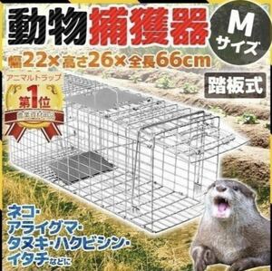 [ compact storage ] animal .. vessel M size animal trap vermin folding assembly type 