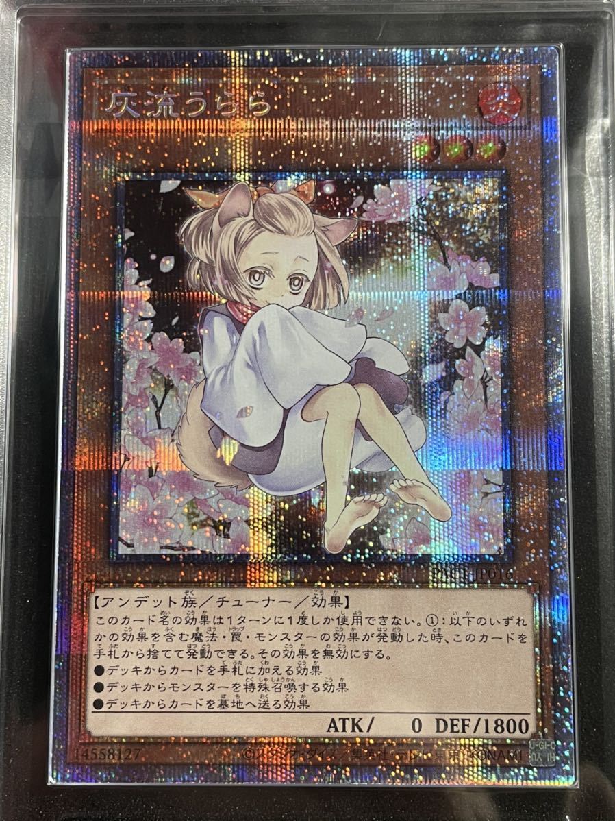 ARS鑑定 10+】灰流うらら 絵違い プリズマティックシークレットレア