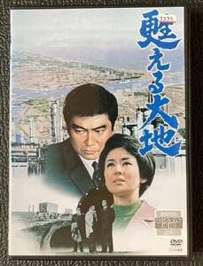 DVD『 甦える大地』（1971年） 石原裕次郎 司葉子 三国連太郎 寺尾聡 渡哲也 木本正次 茨城 鹿島コンビナート レンタル使用済 ケース新品