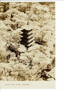 ＊PAGODA AMID CHERRY BLOSSOMS JAPAN GOVERNMENTAL RAILWAYS PHOTO BY TOKYO NICHINICHI 鉄道省絵葉書 RPS01222HA1