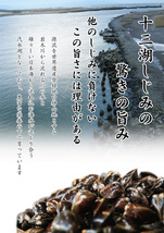 砂抜き済【冷凍 しじみ 小粒 10kg（10キロ）】青森県 津軽 十三湖 産 Sサイズ_画像2