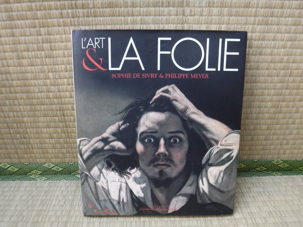 Иностранная книга L'ART &LA FOLIE (французская версия), Рисование, Книга по искусству, Коллекция, Книга по искусству