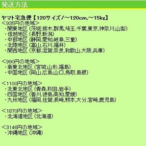 ドラえもん浮世絵 富嶽三十六景 甲州石班澤 初版限定300部 葛飾北斎 送料935円～の画像3