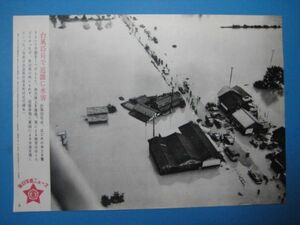 d1008毎日写真ニュース　昭和31年　台風15号で近畿に水害　奈良県田原本町附近の浸水
