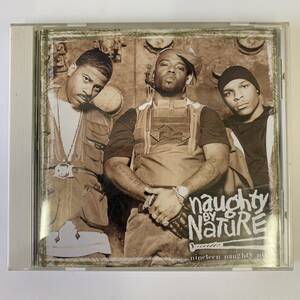 激レア！ 大特価！ NAUGHTY BY NATURE CD アルバム ★ 極美品 A0087