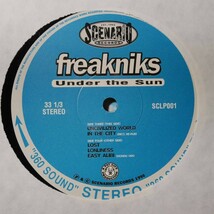 アナログ ●輸入盤～ Freakniks Under The Sun レーベル: Scenario Records SCLP001_画像8