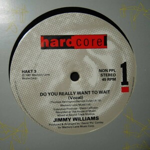 アナログ ● 輸入盤～ Jimmy Williams Do You Really Want To Wait レーベル:Hardcore HAKT 3