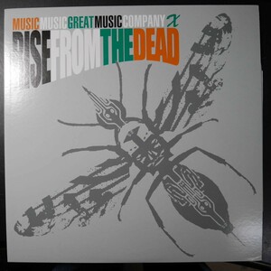 アナログ ● RISE FROM THE DEAD / MUSIC MUSIC GREAT MUSIC COMPANY X