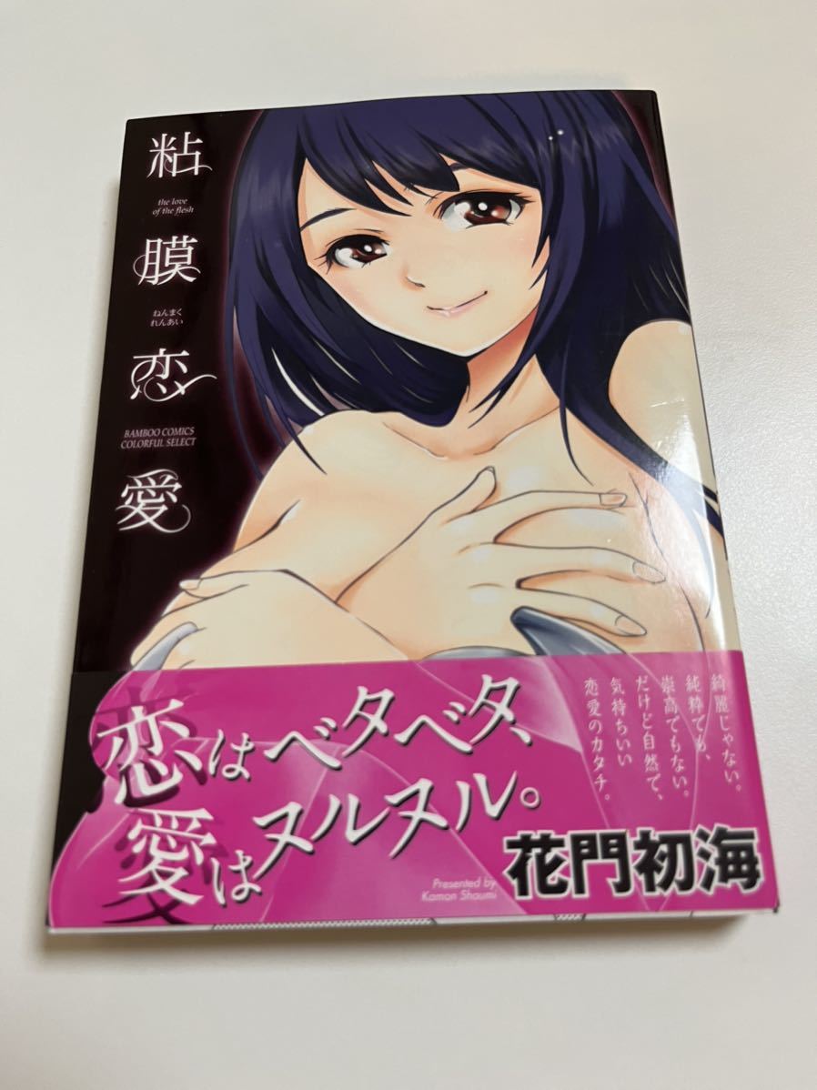 Hatsumi Kamon Mucous membrane love Illustrated autographed book First edition Autographed Name book KAMON Shoumi Gameobera, comics, anime goods, sign, Hand-drawn painting