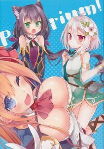 0780_サンクリ2019summer_一般_アレプリコス_コピー誌_プリンセスコネクト!Re:Dive_プリコネR_prico