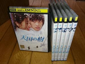 韓国　「TVドラマ・DVD６巻」　●天国の樹１～６　６巻　（2006年放送）　レンタル落ちDVD 