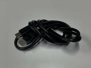 A17998)HOTRON DisplayPort DP video cable E246588 DP to DP approximately 1.7m used operation goods 