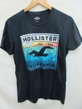ホリスター HOLLISTER Tシャツ　サイズS_画像1