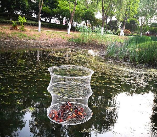 ザリガニ・エビ・カニ・小魚・水生昆虫 網 釣り網 蟹網