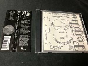 TEIJI ITO - THE SHAMANIC PRINCIPLES CD / 帯付き TZADIK