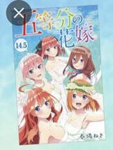 五等分の花嫁　漫画　フルカラー　全14巻セット　14.5巻　ファイルセット_画像2