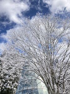 画像 即決写真 フリー画像 著作権フリー 画像 データ 風景 雪 冬 壁紙 迅速対応！