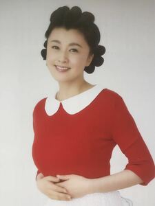 新品 舞台「サザエさん」インタビュー 掲載 冊子 非売品 藤原紀香 葛山信吾 高橋惠子 松平健 荒牧慶彦 秋元真夏 齋藤京子 大平峻也