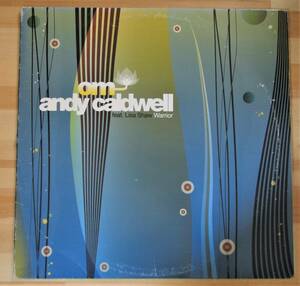 0513）Ａｎｄｙ　Ｃａｌｄｗｅｌｌ　feat.　Ｌｉｓａ　Ｓｈａｗ　☆　１２インチ　Ｗａｒｒｉｏｒ