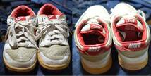 t503/NIKE/ナイキ DUNK LOW PRO ダンク ロー 302517-161/24.5 _画像2