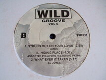 EP V.A. - Wild Groove vol.6 (R.Kelly, Terry Ellis)_画像3
