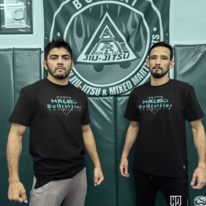 ヤフオク! -「haleo tシャツ」の落札相場・落札価格