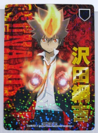 変革のパワーを授ける・願望成就 家庭教師ヒットマンREBORN!CCG